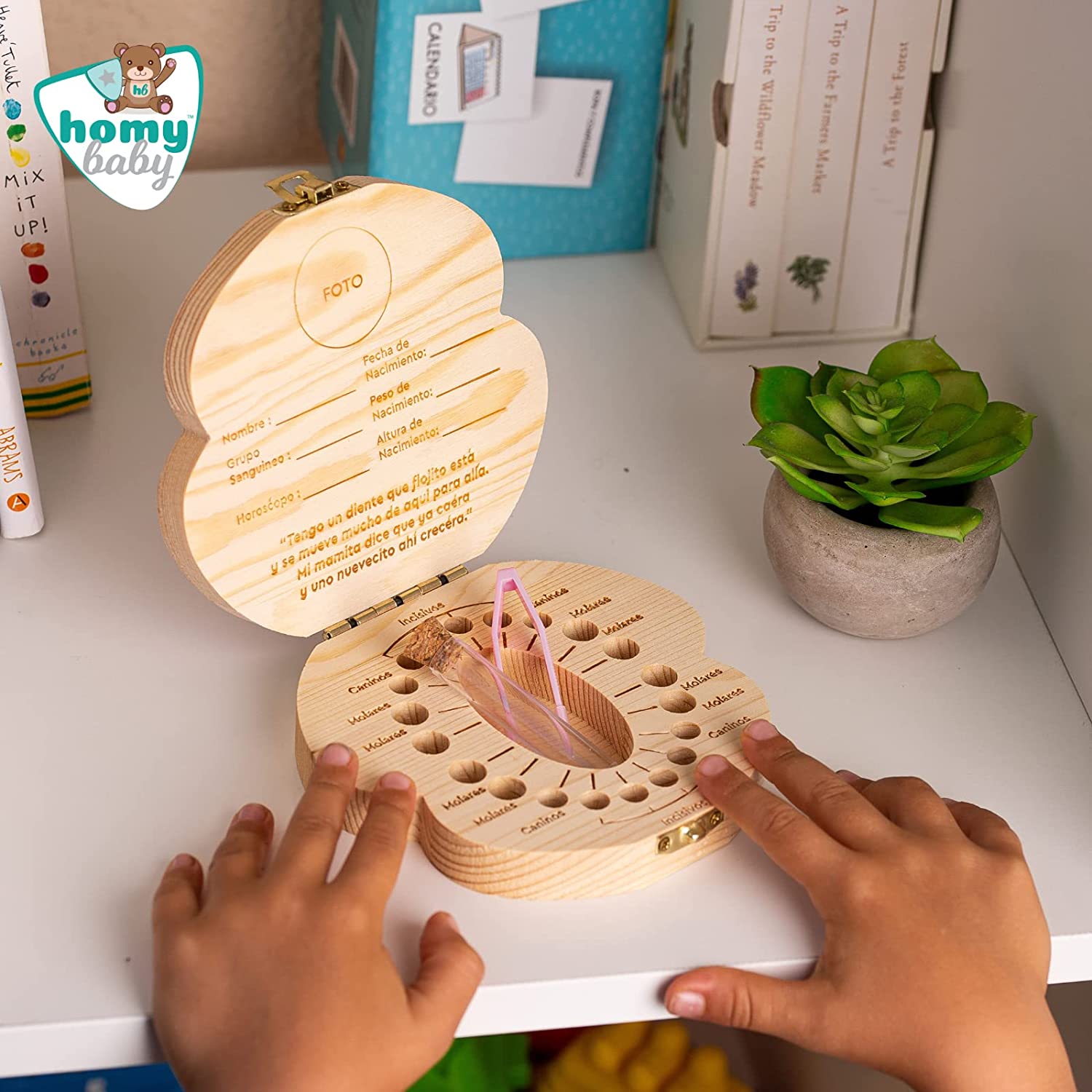 Un niño de 6 años sostiene una caja para dientes de leche cambio de dientes